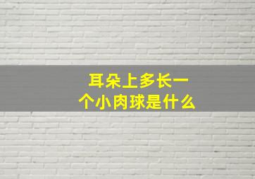 耳朵上多长一个小肉球是什么