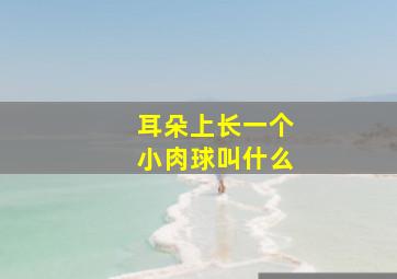 耳朵上长一个小肉球叫什么