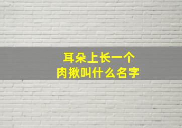 耳朵上长一个肉揪叫什么名字