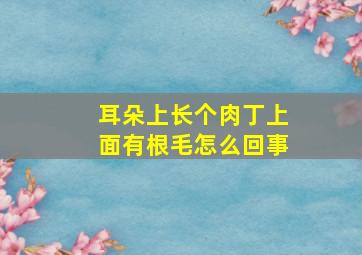 耳朵上长个肉丁上面有根毛怎么回事