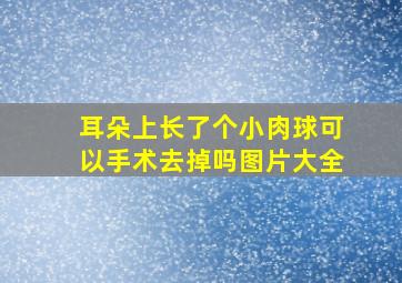 耳朵上长了个小肉球可以手术去掉吗图片大全