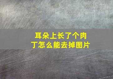 耳朵上长了个肉丁怎么能去掉图片