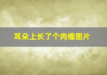 耳朵上长了个肉瘤图片