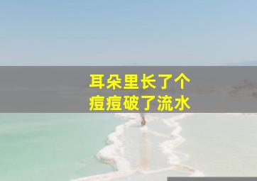 耳朵里长了个痘痘破了流水