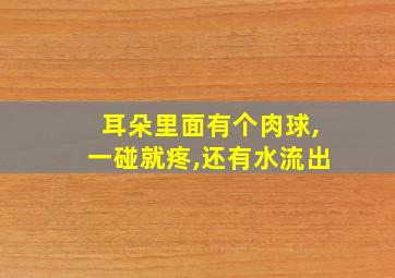 耳朵里面有个肉球,一碰就疼,还有水流出