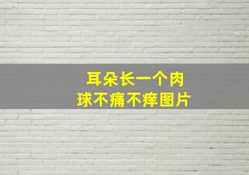 耳朵长一个肉球不痛不痒图片