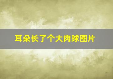 耳朵长了个大肉球图片