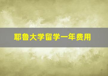 耶鲁大学留学一年费用