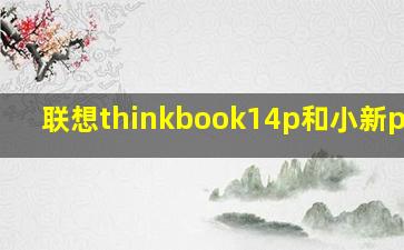 联想thinkbook14p和小新pro14