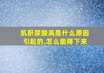 肌酐尿酸高是什么原因引起的,怎么能降下来