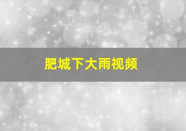 肥城下大雨视频