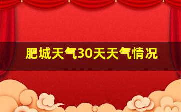 肥城天气30天天气情况