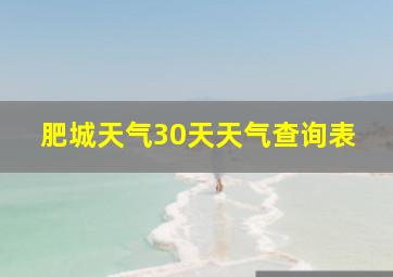 肥城天气30天天气查询表