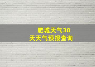 肥城天气30天天气预报查询