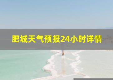 肥城天气预报24小时详情