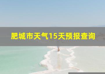 肥城市天气15天预报查询