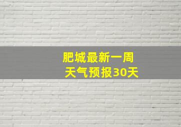 肥城最新一周天气预报30天