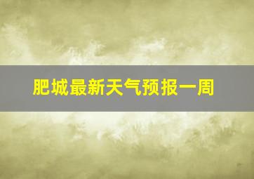 肥城最新天气预报一周