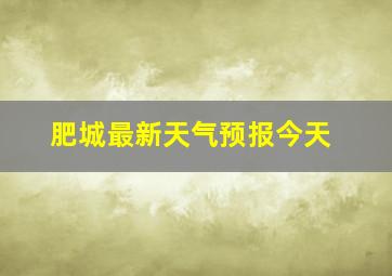 肥城最新天气预报今天