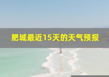 肥城最近15天的天气预报