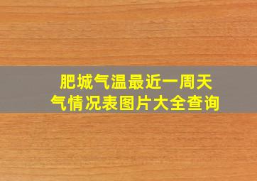 肥城气温最近一周天气情况表图片大全查询