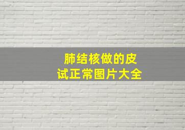 肺结核做的皮试正常图片大全