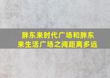 胖东来时代广场和胖东来生活广场之间距离多远