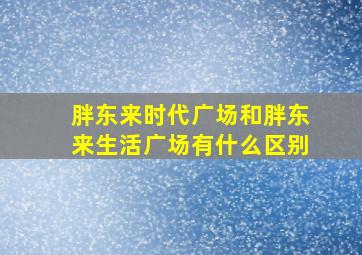 胖东来时代广场和胖东来生活广场有什么区别