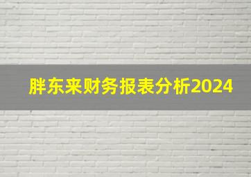 胖东来财务报表分析2024