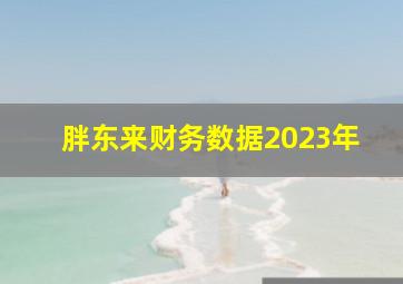 胖东来财务数据2023年