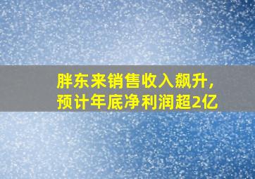 胖东来销售收入飙升,预计年底净利润超2亿