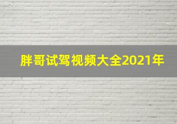 胖哥试驾视频大全2021年