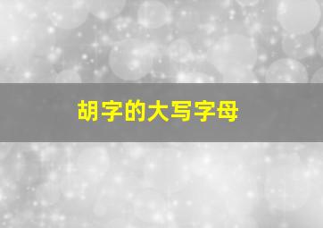 胡字的大写字母