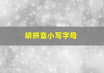 胡拼音小写字母