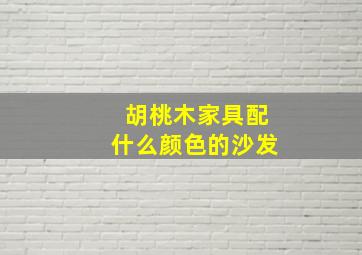 胡桃木家具配什么颜色的沙发