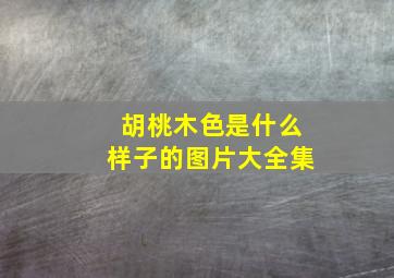 胡桃木色是什么样子的图片大全集