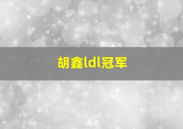 胡鑫ldl冠军