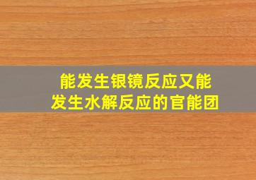 能发生银镜反应又能发生水解反应的官能团