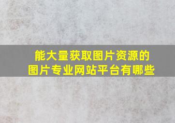 能大量获取图片资源的图片专业网站平台有哪些