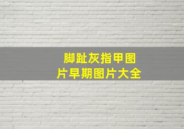 脚趾灰指甲图片早期图片大全