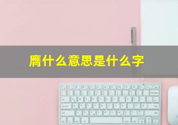 膺什么意思是什么字