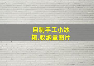 自制手工小冰箱,收纳盒图片