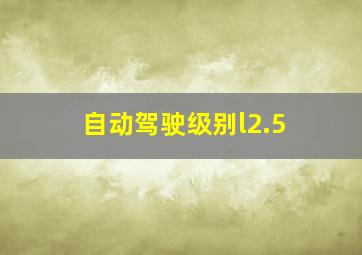 自动驾驶级别l2.5