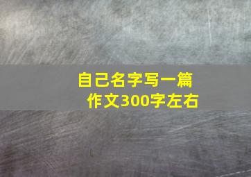 自己名字写一篇作文300字左右