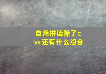 自然拼读除了cvc还有什么组合