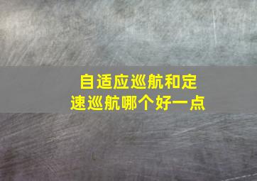 自适应巡航和定速巡航哪个好一点