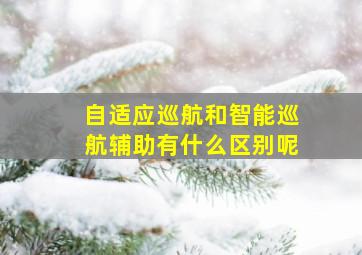 自适应巡航和智能巡航辅助有什么区别呢