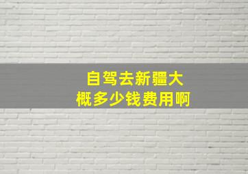 自驾去新疆大概多少钱费用啊