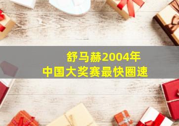 舒马赫2004年中国大奖赛最快圈速