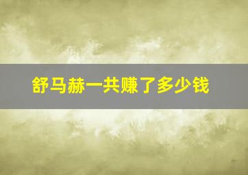 舒马赫一共赚了多少钱